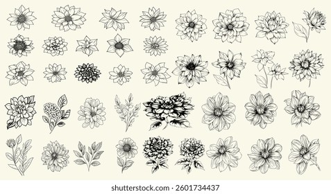Feminine botanical floral branch with trendy greenery, perfect for rustic decor, eco-conscious branding, and personalized wedding stationery. Black line art dahlias for wedding logos,