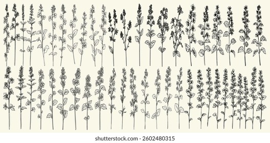 Feminine botanical floral branch, trendy greenery, wildflower collection, ideal for rustic wedding invitations, logos, chic wedding stationery, personalized branding, eco-conscious decor