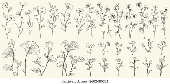 Feminine botanical floral branch with trendy greenery, wildflower collection, intricate black line art of wild field bindweed, perfect for eco-conscious branding, chic decor, modern wedding stationery