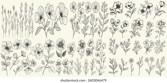 Feminine botanical floral branch, wild primrose line art, trendy greenery, wildflower collection, perfect for chic branding, eco-conscious wedding stationery, boho-themed decor, wedding logos