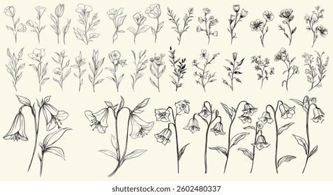 Feminine botanical floral branch, wildflower collection, trendy greenery, detailed black line art of wild bellflower, perfect for eco-conscious branding, personalized decor, chic wedding stationery