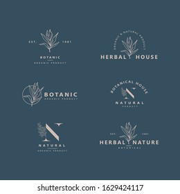 feminine botanical icon logo design 