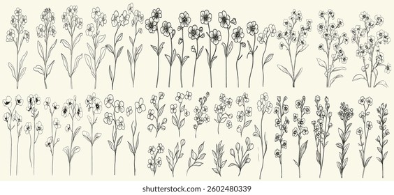 Feminine botanical wildflower collection with chic greenery for wedding stationery, rustic decor, eco-conscious branding, black line art of wild forget-me-not, perfect for logos.