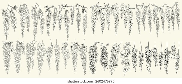 Feminine botanical wisteria flowers for wedding stationery, modern logos, romantic decor, hand-drawn greenery, floral branch, perfect for branding, wedding invitations, rustic designs, elegant wedding
