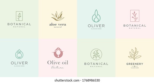 feminine design logo collection. elegant roses, botany, aloe vera, olive oil, greenery and nature.