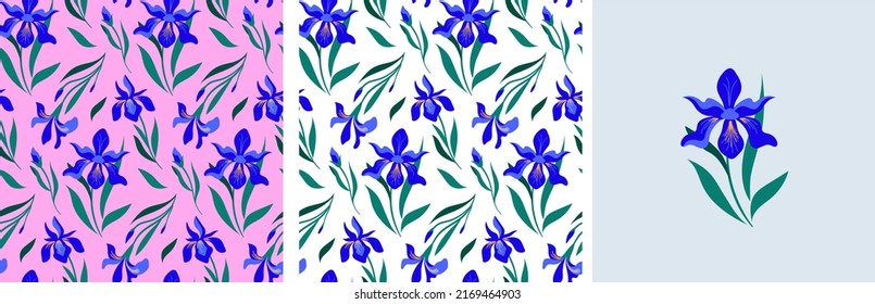 Feminine fashion concept illustration, seamless pattern and flower bouquet of Irises flowers. Card, print and poster designs. Flat style vector design