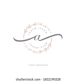 feminine floral letter A. beautiful caligraphic monogram flourish leaf boutique logo vector template stock illustration.