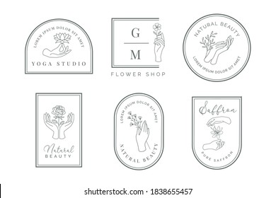 Logotipo de mano femenina con olivo, loto, rosa, rosa salvaje, flor azafrán