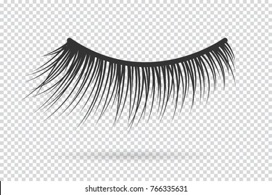 Feminine lashes vector. False eyelashes hand drawn.