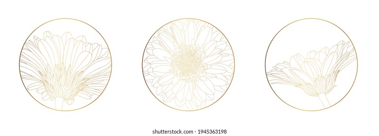 Feminine logo design templates in trendy linear minimal style. Gerebera camomile flowers. Emblem, symbols and icons for cosmetics, jewellery, beauty and handmade products.