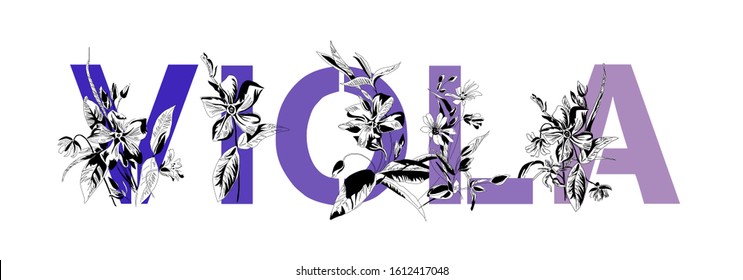 Name Graphics High Res Stock Images Shutterstock