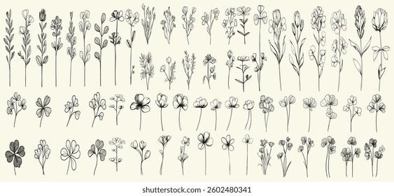 Feminine wildflower collection with black line art of hare’s foot clover, rustic decor, trendy greenery, chic wedding stationery, modern invitations, eco-conscious branding.