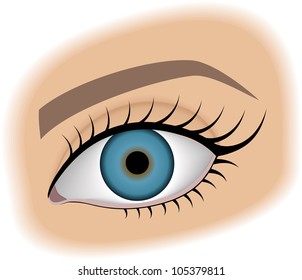 feminine's eye without make up