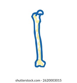 femur bone doodle icon sketch vector. femur bone sign. isolated symbol illustration