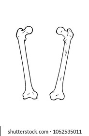 Femur Bone. Vector Illustration