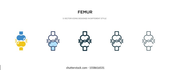 femur icon in different style vector illustration. two colored and black femur vector icons designed in filled, outline, line and stroke style can be used for web, mobile, ui