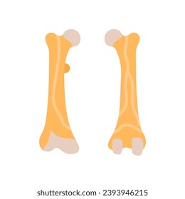 Femur icon in vector. Logotype
