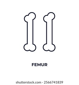 femur outline icon. Linear vector from medical concept. Thin line femur icon isolated on white background