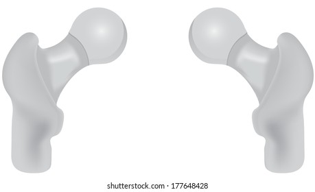 Femurs, the Hip