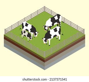 fence and cows isometric farming