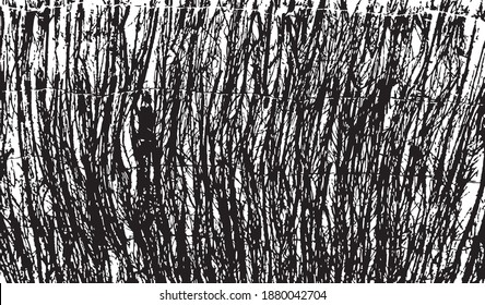 Fence of dry branches. Design element. Background texture, vector illustration.