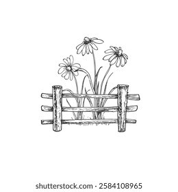 Fence and flowers vector illustration hand drawn in ink and isolated on white background. Garden scene