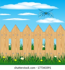 Fence from fresh boards