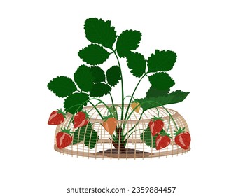 Fence surrounding trees on white background