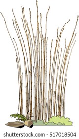 fence of tree branches isolated on white. vector. architecture, garden