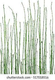 fence of tree branches isolated on white. vector. 