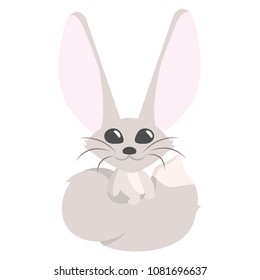 Fenec vector illustration for children