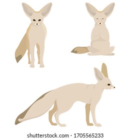 Fenech in different poses. Cute animal in cartoon style.