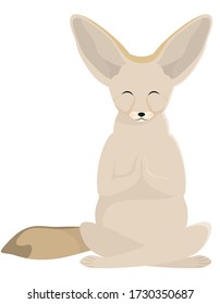 Fenech doing yoga. Cute animal in cartoon style.