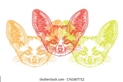 fenech fox doodling coloring book, meditative coloring book. Patterns, dots, stripes. Cute animals.