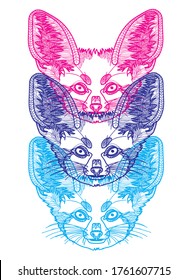 fenech fox doodling coloring book, meditative coloring book. Patterns, dots, stripes. Cute animals.