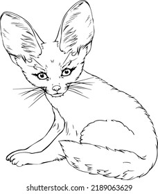Dibujo de línea blanca y negra vectorial de Fenech