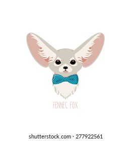 Fennec Fox