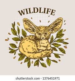 Fennec fox . Color card. Engraving style. Vector illustration.