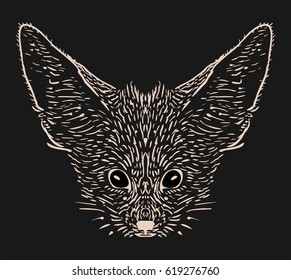 Fennec fox hand drawn illustration