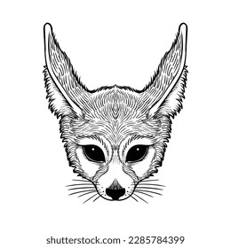 Fennec Fox head - graphic drawing in black outline on a white background,. Black and white vector illustration