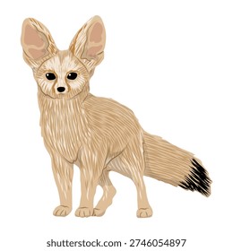 Fennec fox isolated on white background. Vector desert animal illustration with big ears and fluffy tail. Wild sandy fox character for education, zoo and nature design