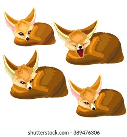 Fennec fox lies and yawns. Animals isolated on a white background. Vector illustration.