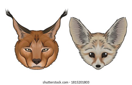 Fennec Fox and Lynx Muzzle with Fur Vector Set
