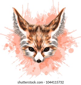 Fennec fox - Stylized vector illustration