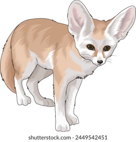 fennec fox in vector illustration