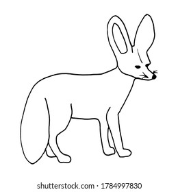 Fennec fox vector illustration. Doodle illustration of desert animal. Vector stock illustration. For colouring pages.