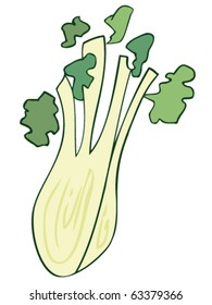 Fennel.