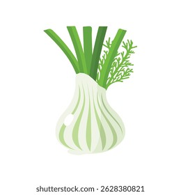 fennel 2D flat vector illustration icon, isolated on a white background.