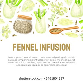 Fennel Banner Design with Edible Condiment Vector Template