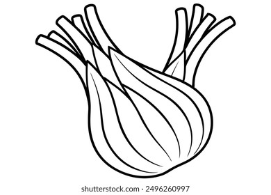 Fennel Bulb line art intricate botanical design